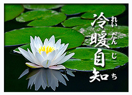 冷暖自知